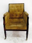 Regency mahogany library chair with cane back and sides, gold dralon, button back seat and padded