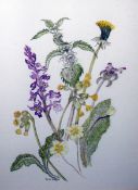 Ruth Rodger  Watercolour drawing  Wild flowers, to include cowslips, nettles, dandelions, etc,