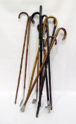 Quantity of walking sticks, vintage golf clubs and shooting stick (10)