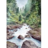 Rosemary C-D Watercolour drawing Mountain stream w