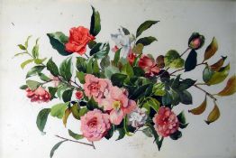 Watercolour drawing  Still life of roses, indistin