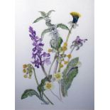 Ruth Rodger  Watercolour drawing  Wild flowers, to