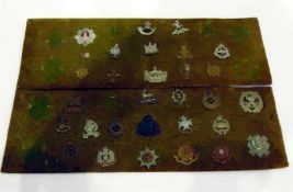 Collection of 20th century military cap badges pinned to two velvet-covered panels, including