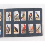 Quantity of cigarette cards in albums, to include Wills, Senior Service and others (1 box)