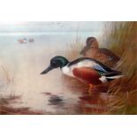 After Archibald Thorburn Pair of colour prints  "T