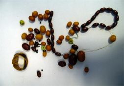 Quantity of loose assorted butterscotch and red amber beads, various sizes