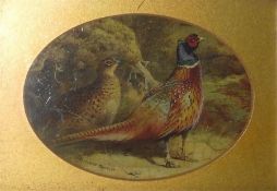 After Archibald Thorburn  Varnish colour print Phe