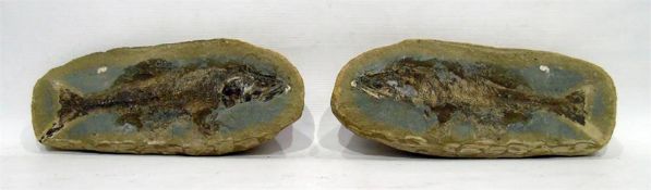 Two stone fossils of fish, 29cm approx