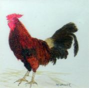 M Waller (20th century)  Watercolour Study of a cockerel, signed lower right, 11cm x 11cm