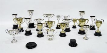 Quantity of predominantly silver plate trophies presented to Peter M Heaton (Lucy Morton's son),