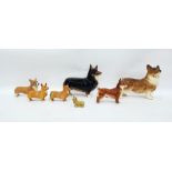 Beswick model corgi in black, tan and cream, Doult