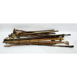 Selection of walking sticks with variously carved
