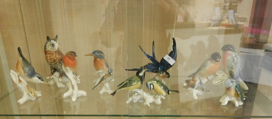 Ten various Carl Ens bird models including pair pink, grey and black parrots, bluebird, kingfisher