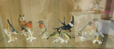 Ten various Carl Ens bird models including pair pink, grey and black parrots, bluebird, kingfisher