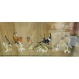 Ten various Carl Ens bird models including pair pink, grey and black parrots, bluebird, kingfisher