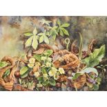 Gillean Whitaker  Acrylic on board  Still life study of woodland floor depicting primroses,