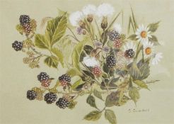 Susan Saunders Watercolour drawing "Blackberries", signed, 18cm x 25cm