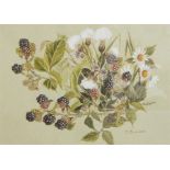 Susan Saunders Watercolour drawing "Blackberries", signed, 18cm x 25cm