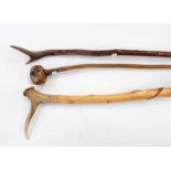 Twisted willow thumb stick with antler head, another walking stick with antler head and a natural
