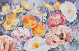 Gillean Whitaker  Watercolour drawing Study of poppies of various colours, signed, 31cm x 48.5cm