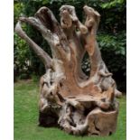 Sculpture, A Root Throne, Hardwood