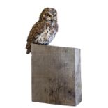 Sculpture, Simon Griffith, Owl, Unique, Ceramic on wood block