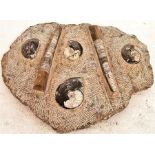 Ammonite Fossil Plaque, Unique