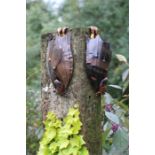 Sculpture, A pair of copper fruit bat sculptures