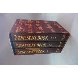 Three Domesday books.