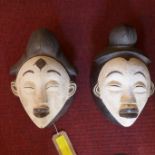 Two Punu tribal masks, Gabon, having ebonised lobed and ribbed coiffure with a white pigment face,