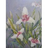 20th century school, Lilies, watercolour, 1930's, framed and glazed, 28 x 36cm