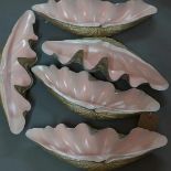 A set of five resin models of clam shells, W.45cm