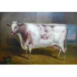 Follower of Benjamin Cam Norton (1835-1900), a study of an ox , oil on canvas, H.51cm W.71cm