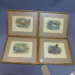A set of four coloured prints of pheasants, ducks and wood grouse, 17 x 23cm (4)
