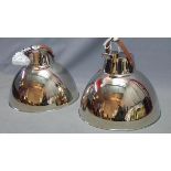 A pair of industrial chrome ceiling lights