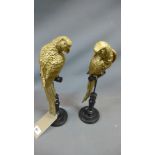 A pair of gilt fibre glass models of parrots, H.37cm