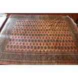 A large Bokhara carpet, with central elephant pad motifs, on a salmon pink ground, contained by many
