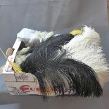 A collection of ostrich feather tiaras together with other ostrich feathers and lace