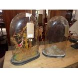 A glass dome with wire work birds on a tree, on ebonised oval base, H.38 W.25 D.12cm, together