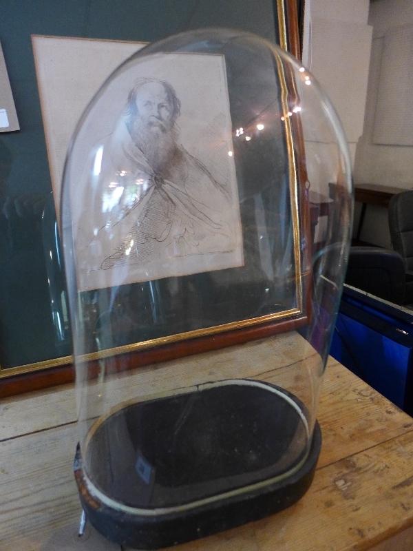 A glass dome raised on black wooden base, H.33cm W.23cm