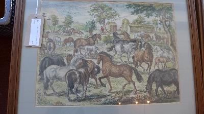 WITHDRAWN. A pair of 19th century French coloured engraving of horses, 39 x 52cm - Image 2 of 2