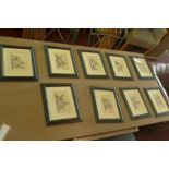 After Charles Cotton, a set of nine engravings of British town and city coat of arms, 12 x 16cm (9)