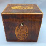 An early 19th century harewood tea caddy with inlaid shell lid, H.11cm W.11.5cm D.9cm