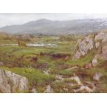 Late 19th / early 20th century Scottish school, Scottish Highlands landscape study, oil on linen, 40