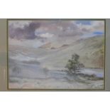 H. J. Neave, A tree in a mountainous landscape, watercolour, signed and dated '65 lower right, 45
