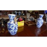 A pair of late 19th / early 20th century Chinese blue and white porcelain vases, decorated with bats