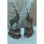 A large pair of cast bronze stags on rocky outcrops, signed, raised on marble bases, H.75cm