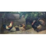 Alfred Schönian (German, 1856-1936), a study of Cockerels and a Turkey, oil on panel, signed lower