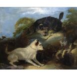 19th century school, two terriers, oil on panel, H.30cm W.35cm