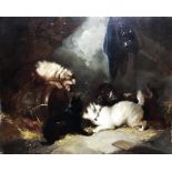 19th century British School, Four terriers looking into a barrel, oil on canvas, H.25cm W.30cm